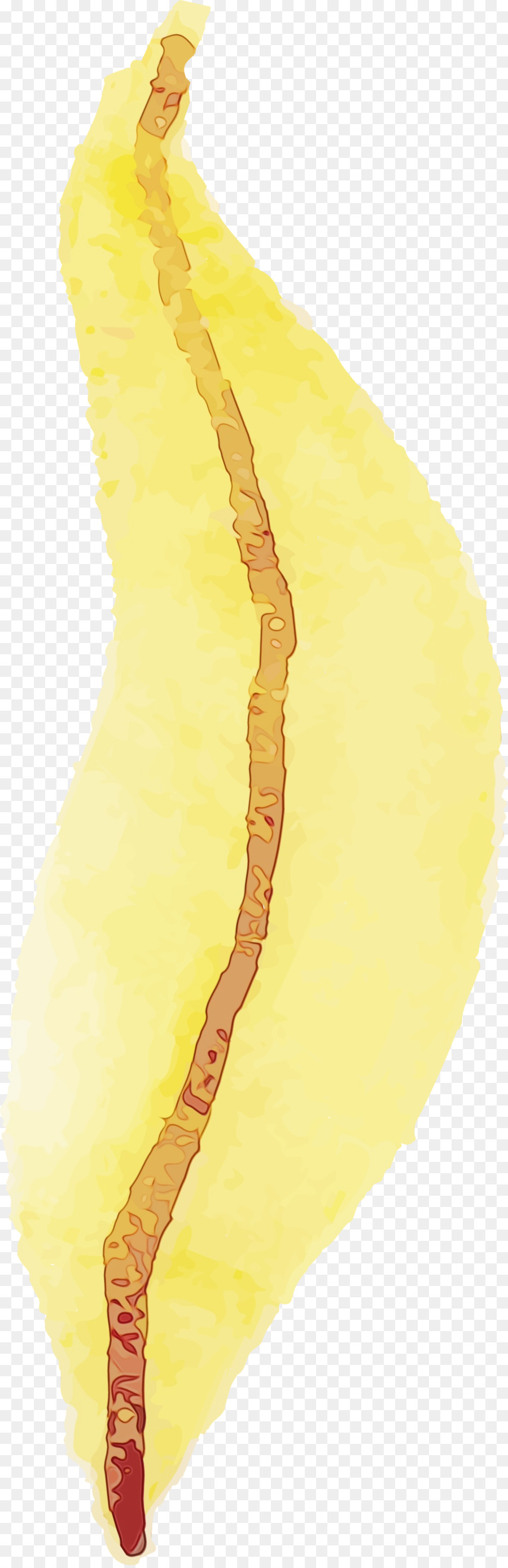 Sarı，Biyoloji PNG