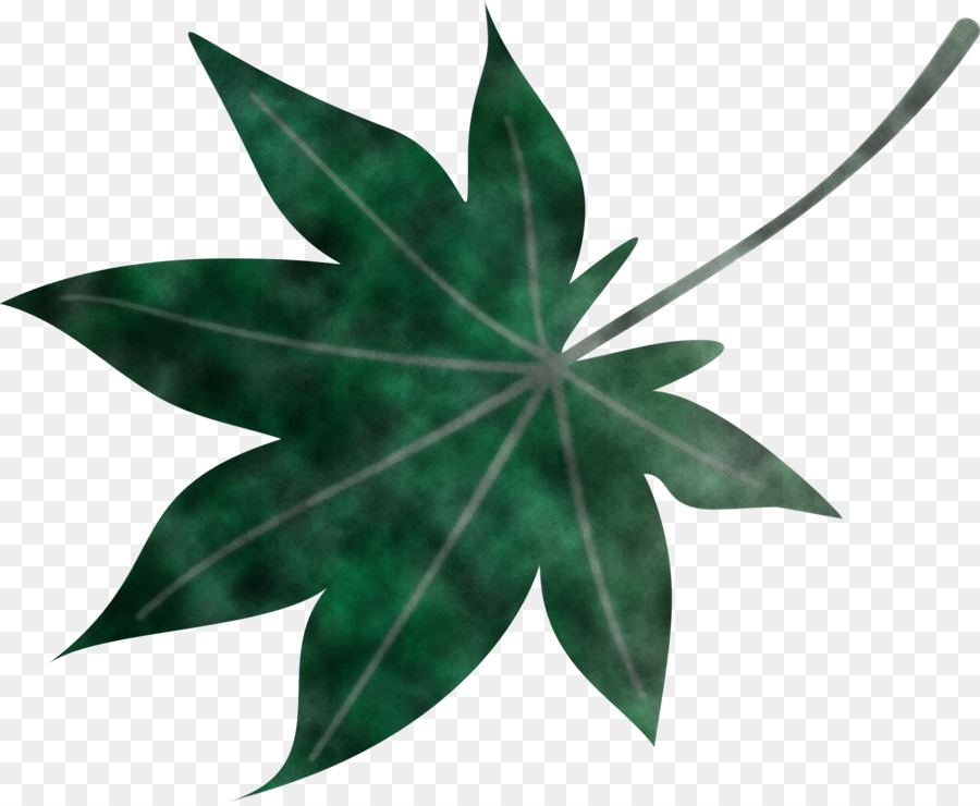 Yaprak，Bitki Sapı PNG