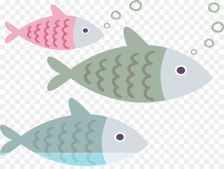 Balık，Biyoloji PNG