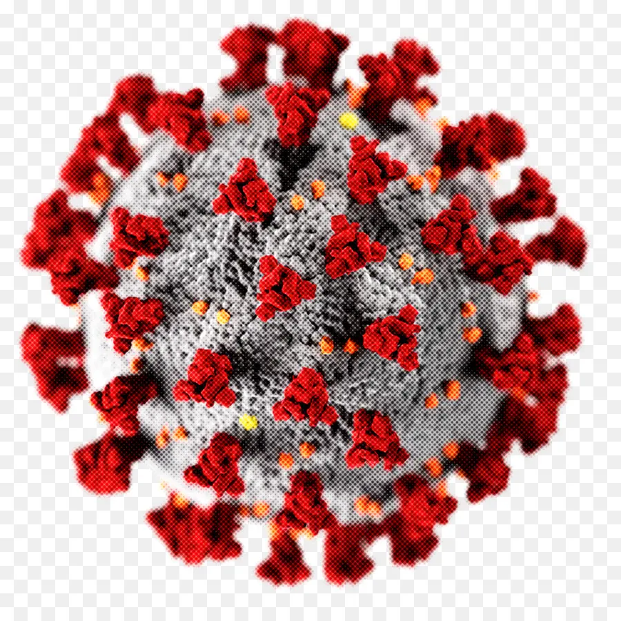 Covid19 Testi，Korona Virüs PNG