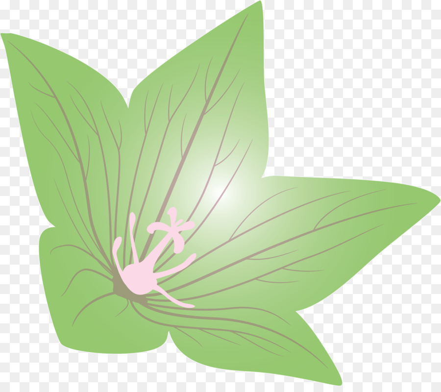 balon çiçek - şeffaf PNG görüntüsü