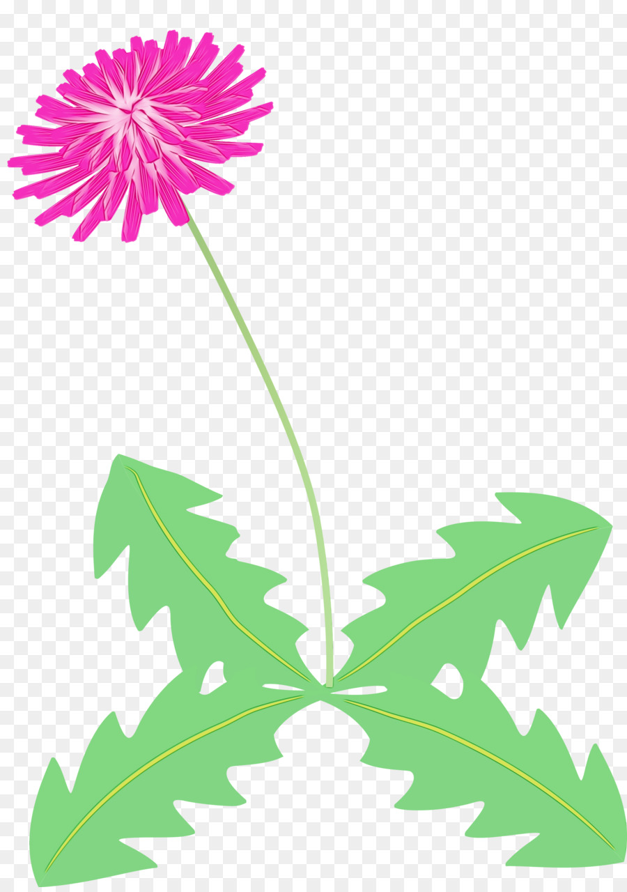 çiçek，Çiçek Sapı PNG