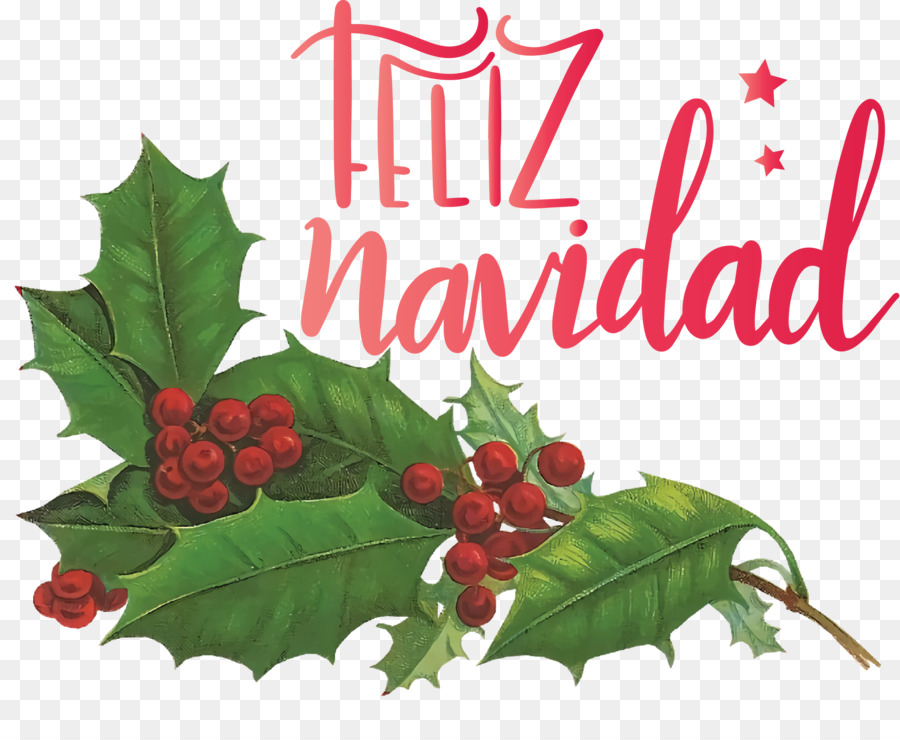 Feliz Navidad，Çobanpüskülü PNG