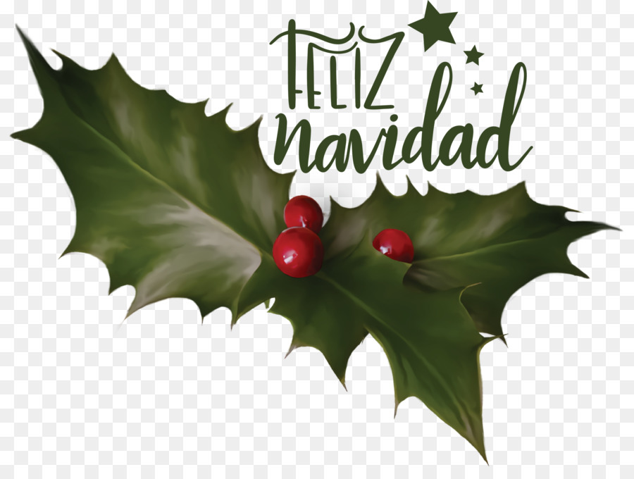 Feliz Navidad，Çobanpüskülü PNG