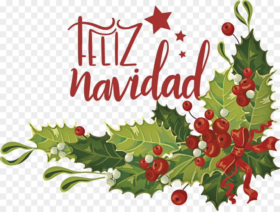 Feliz Navidad，Noel PNG