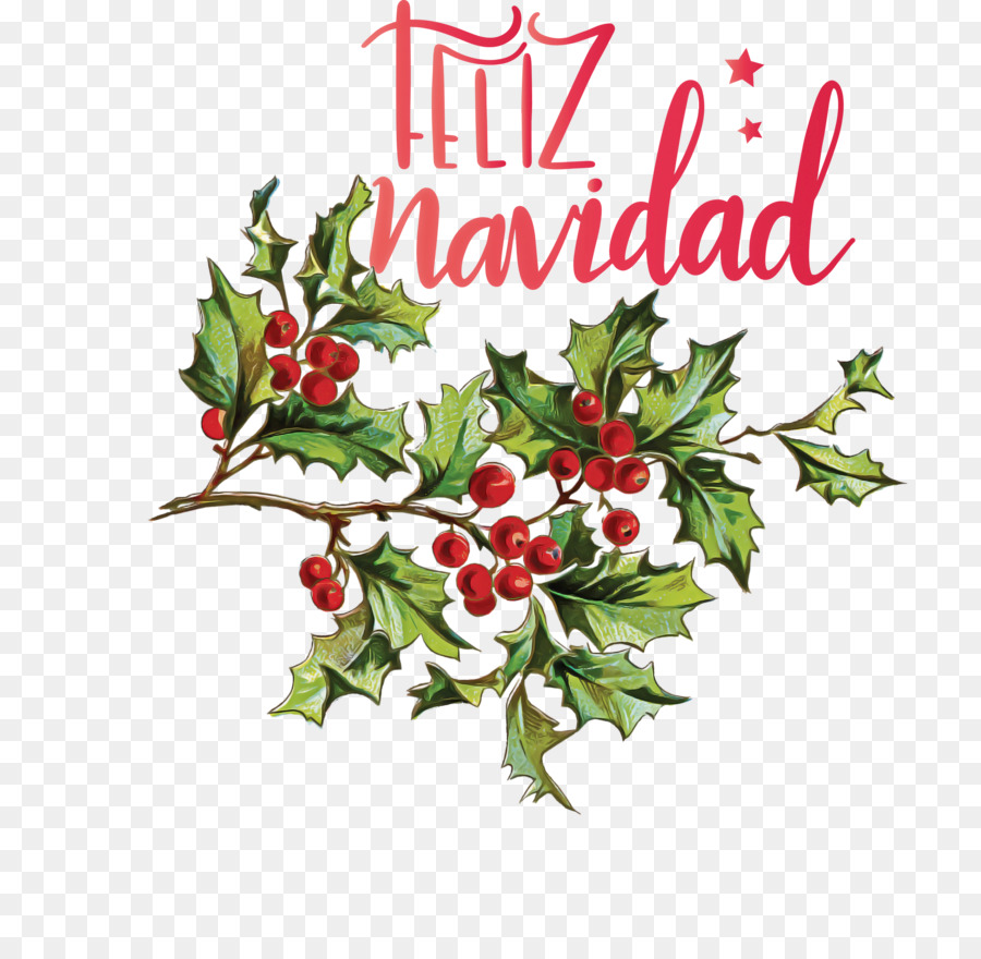 Feliz Navidad，Çobanpüskülü PNG