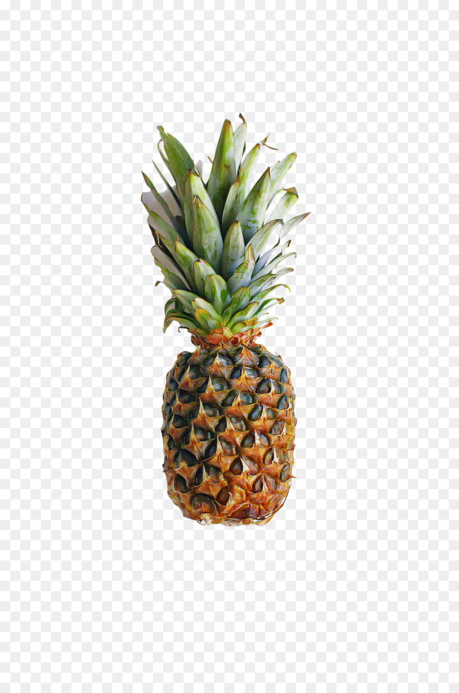 Ananas，Fincan Tabağı Ile Saman Saksı PNG