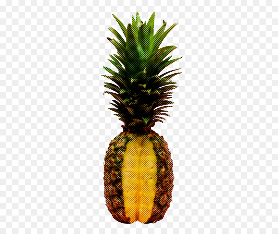 Mavi Ananas，Meyve PNG