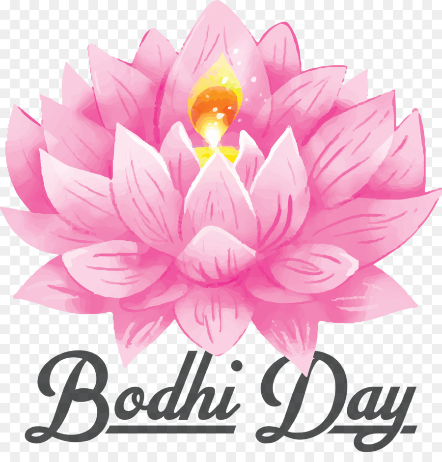 Bodhi Günü，Lotus PNG