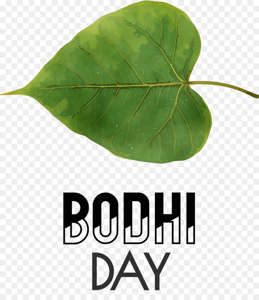 Bodhi Günü，Yaprak PNG