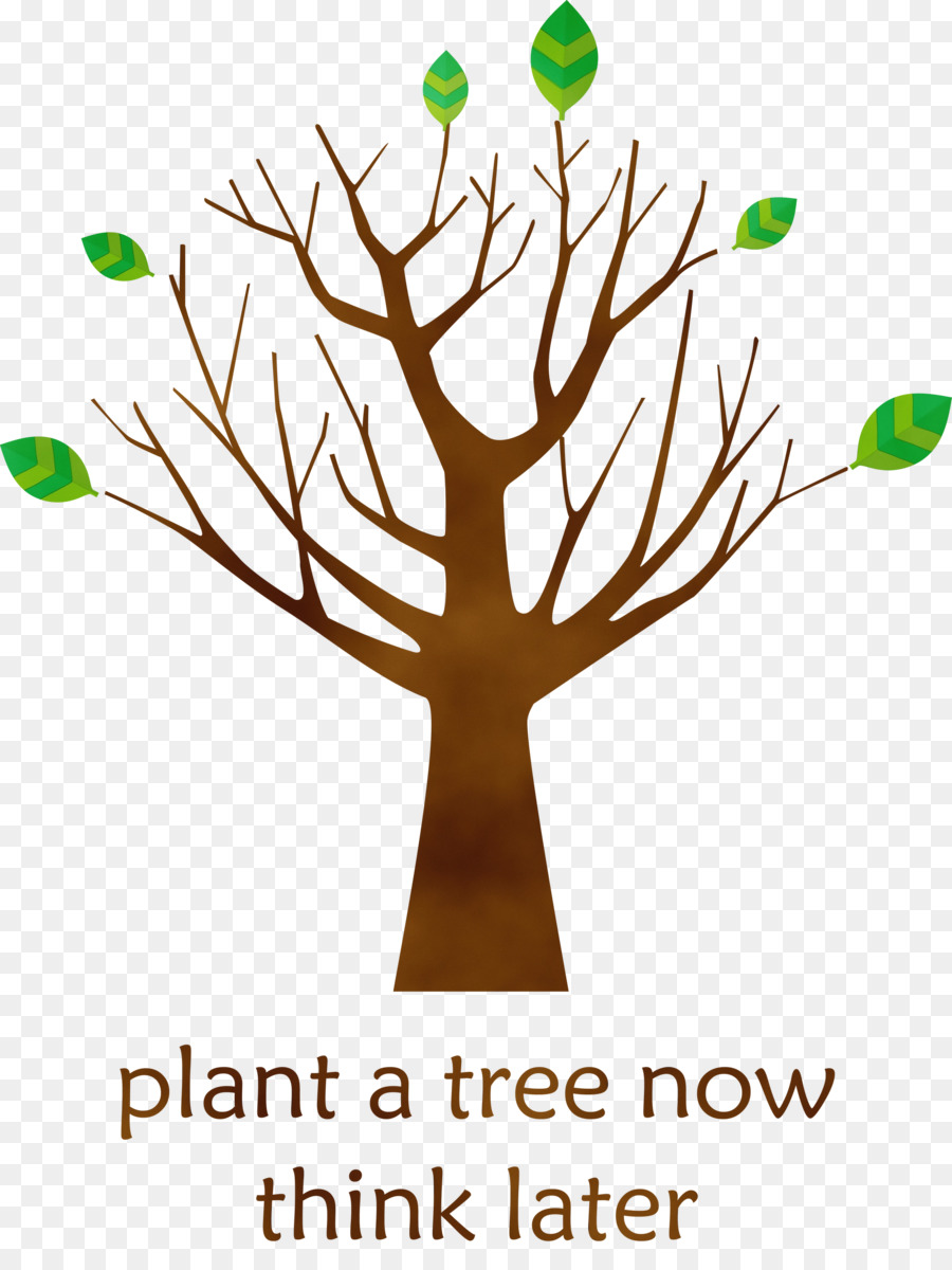 Ağaç，Geniş Yapraklı Ağaç PNG