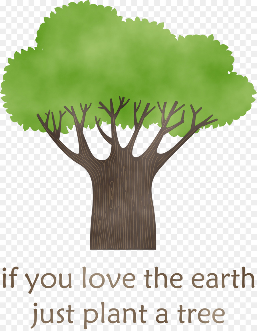 Ağaç，Geniş Ağacı PNG