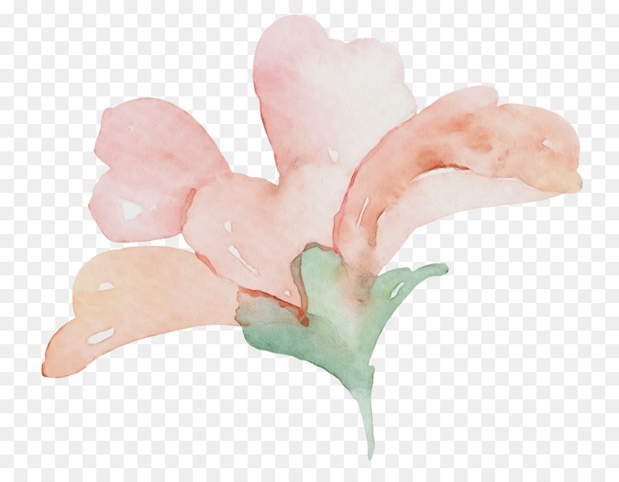 Yaprağı，çiçek PNG