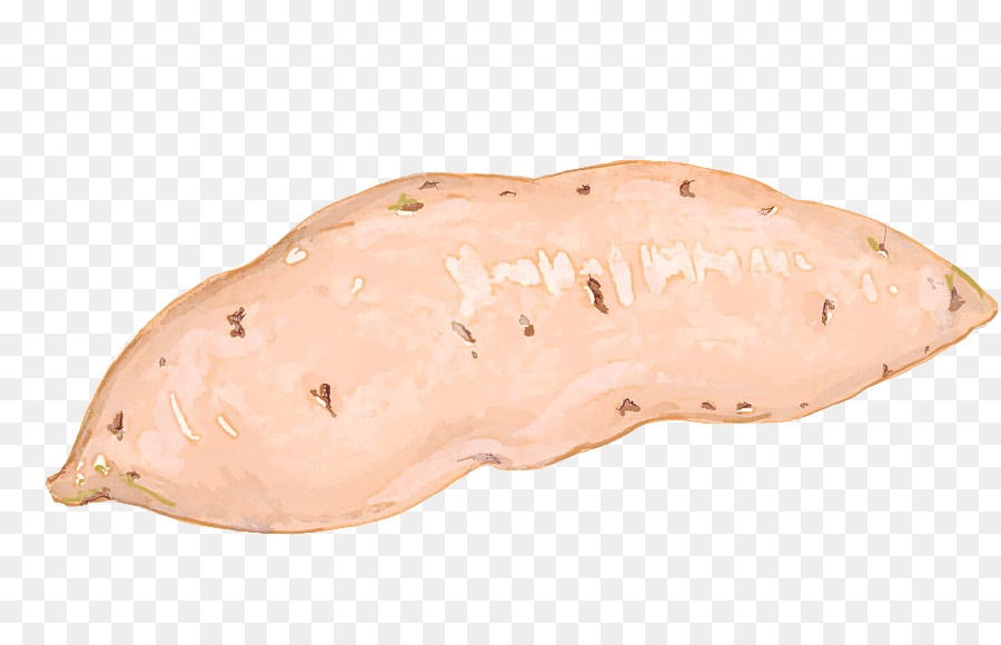 Tatlı Patates，Yiyecek PNG