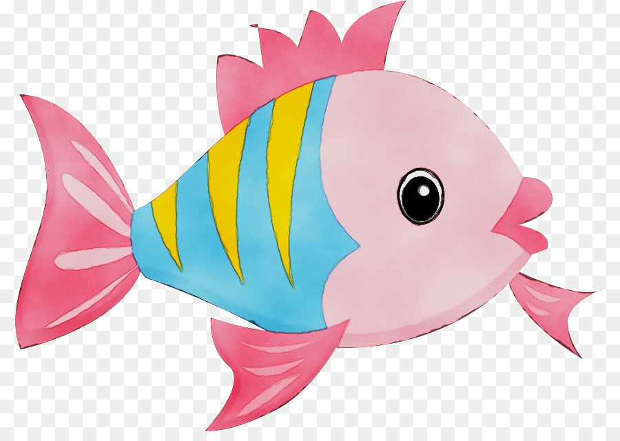 Balık，Biyoloji PNG