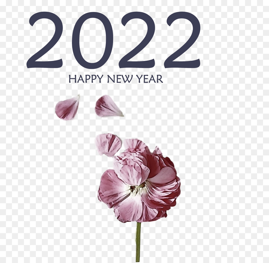 Mutlu Yıllar 2023，Yılbaşı PNG