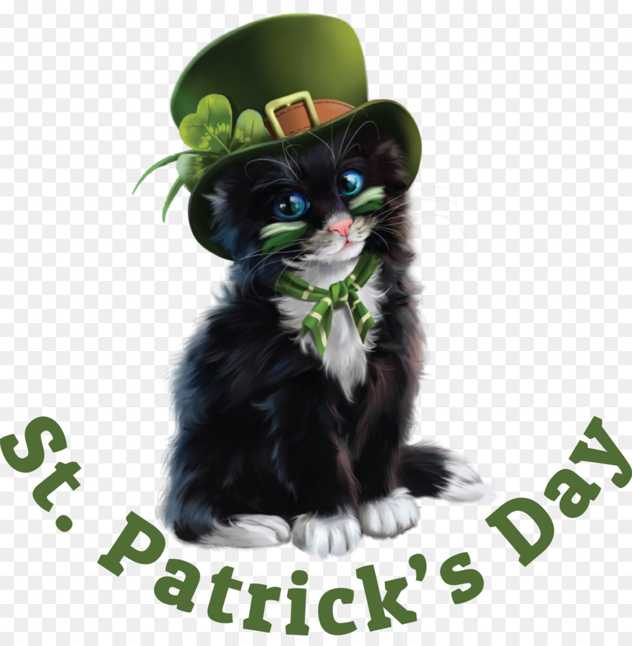 St Patrick ' S Day，Kedi PNG