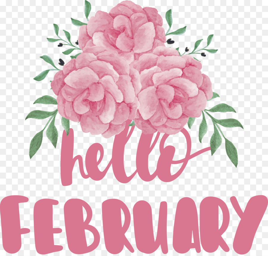 Merhaba Şubat Merhaba Şubat 2020，Buckley Wa PNG