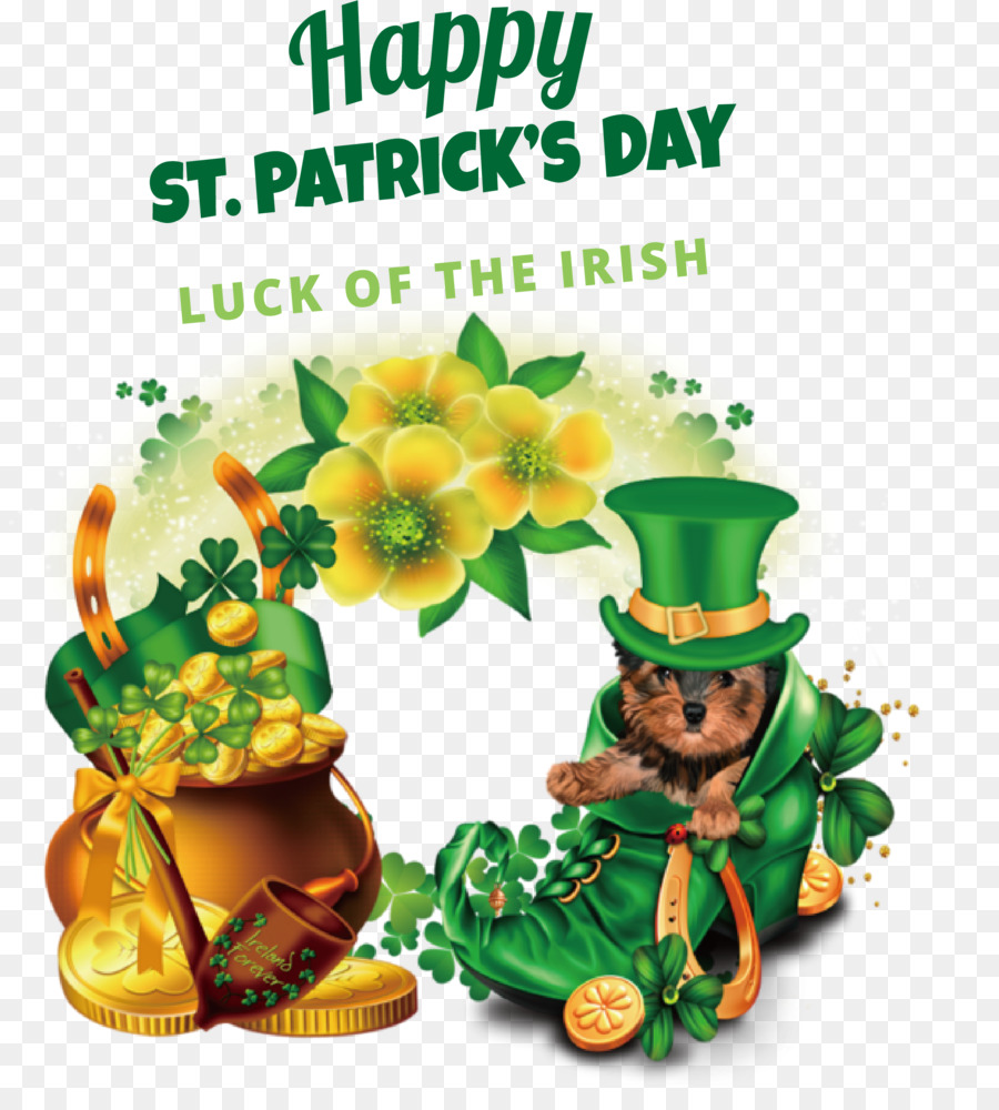 St Patrick ' S Day，St Patrick Koleji Maynooth PNG