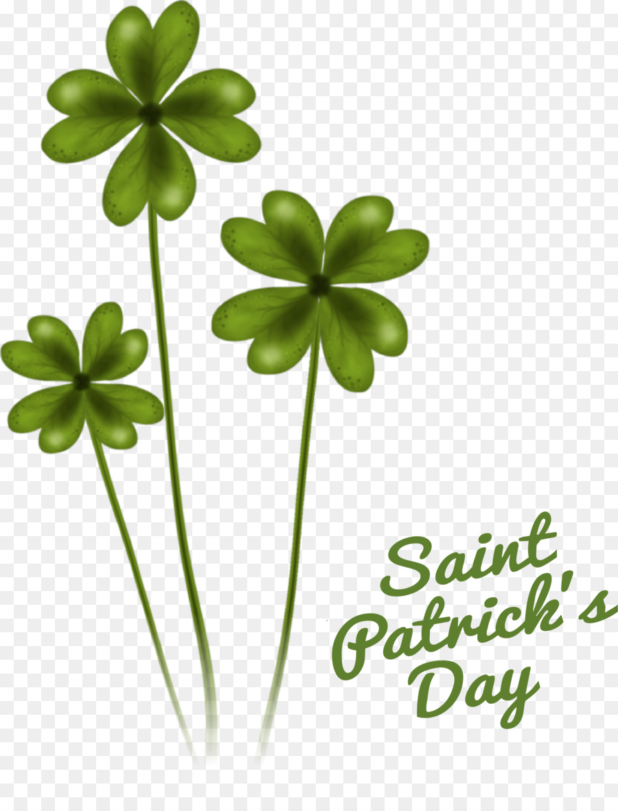 Fourleaf Yonca，St Patrick ' S Day PNG