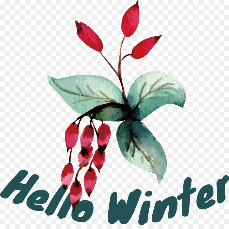 Merhaba Kış，Hoş Geldin Kış PNG