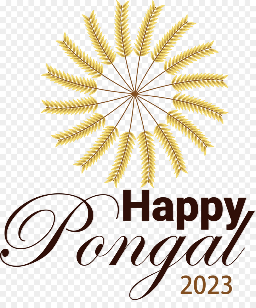 Pongal'de， PNG