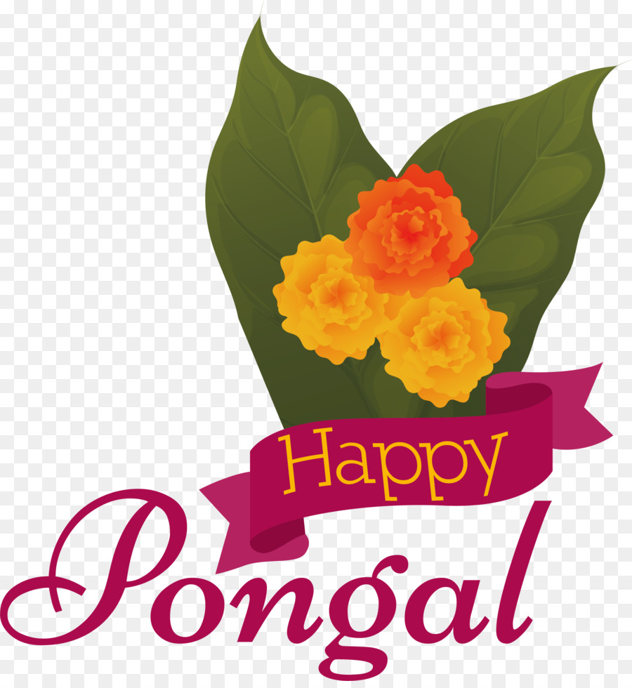 Pongal'de， PNG