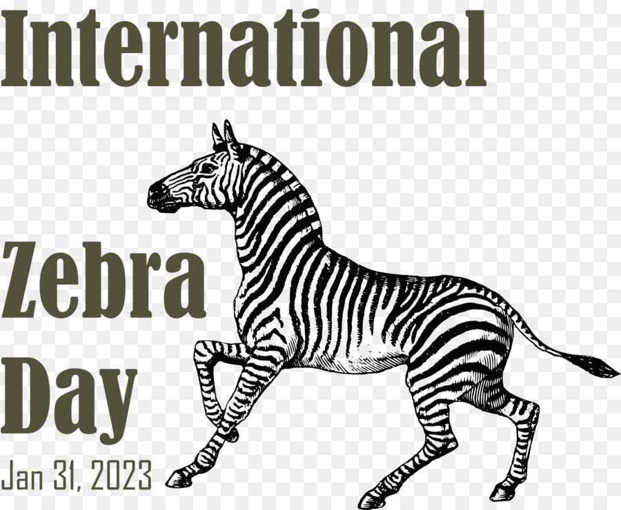 Uluslararası Zebra Günü， PNG