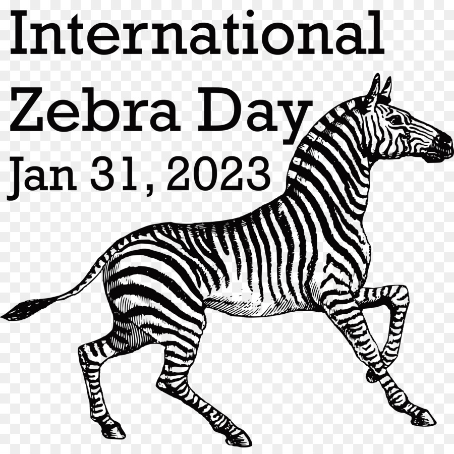 Uluslararası Zebra Günü，Zebra PNG