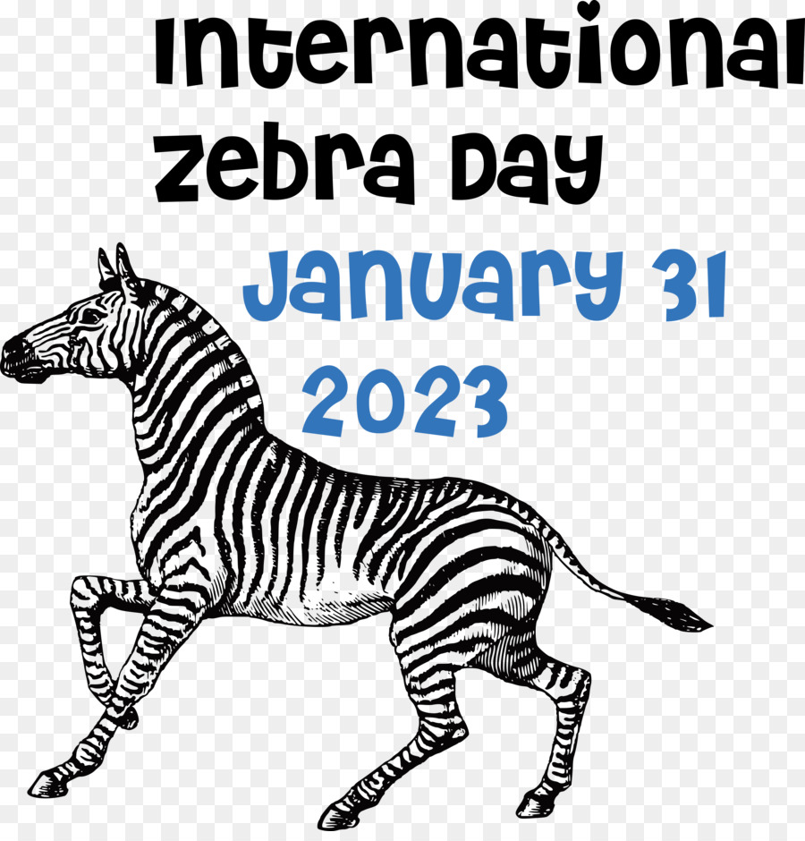 Uluslararası Zebra Günü， PNG