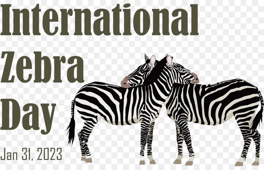 Uluslararası Zebra Günü， PNG