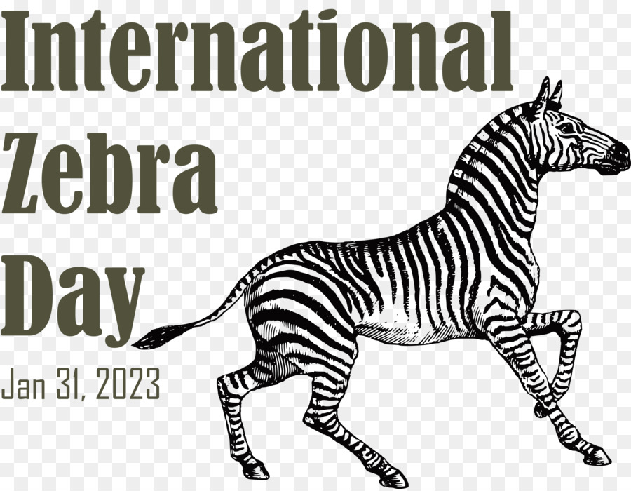 Uluslararası Zebra Günü， PNG