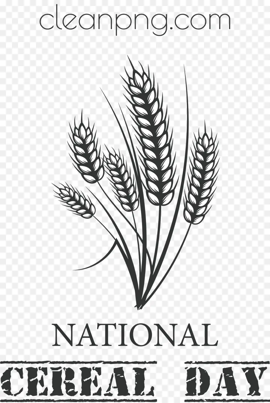 Ulusal Hububat Gün，Tahıl Günü PNG