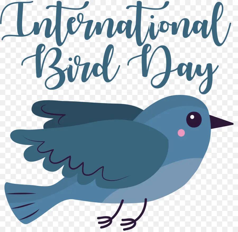 Uluslararası Kuş Günü，Kuş Gün PNG