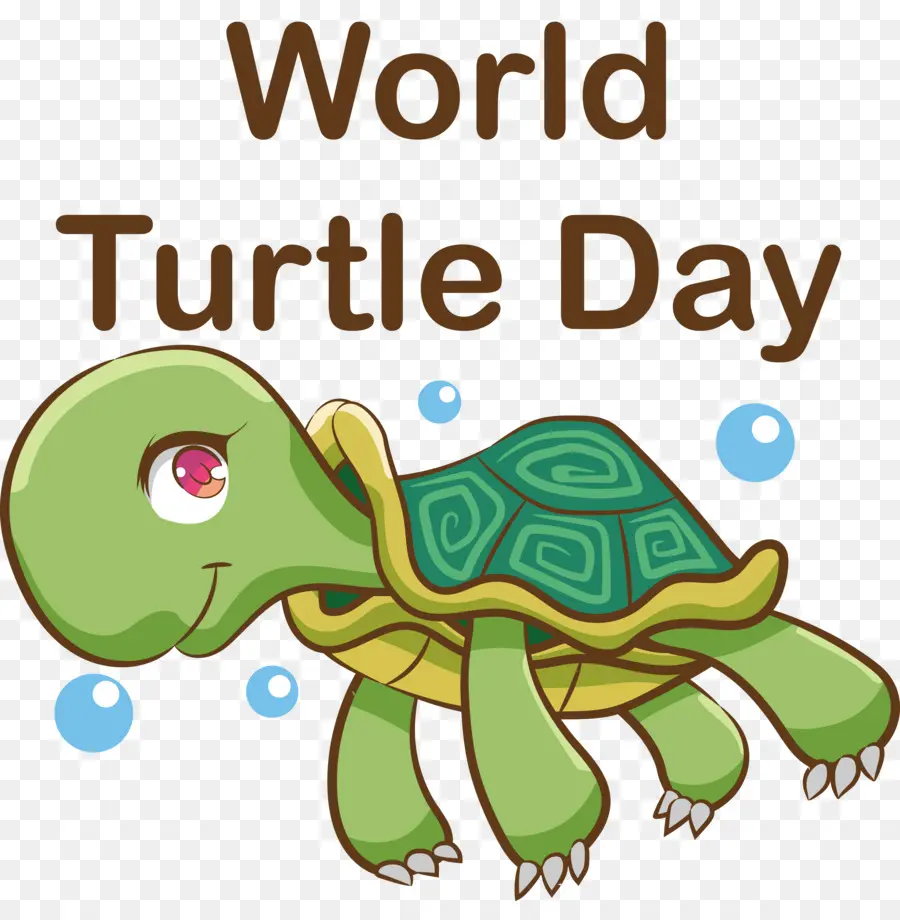 Dünya Kaplumbağa Günü，Kaplumbağa Günü PNG