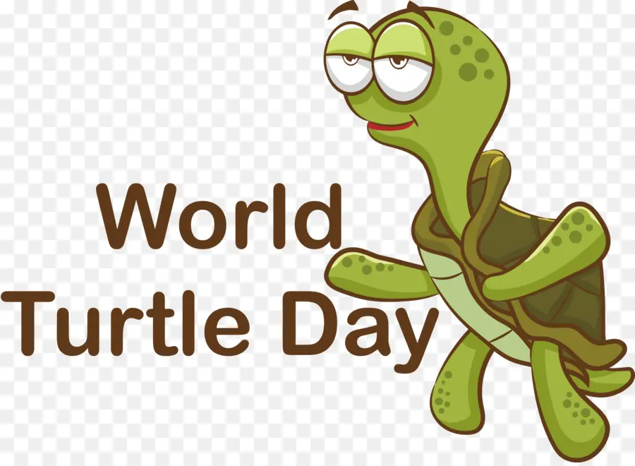 Kaplumbağa Günü，Dünya Kaplumbağa Günü PNG