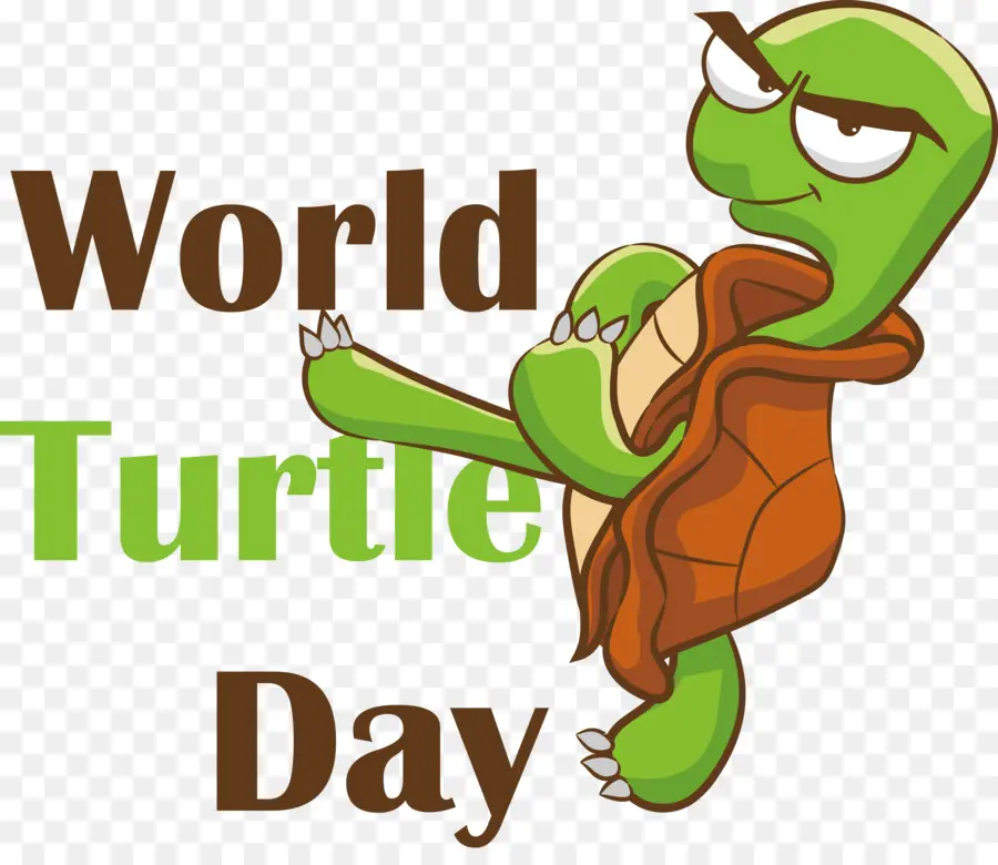 Kaplumbağa Günü，Dünya Kaplumbağa Günü PNG