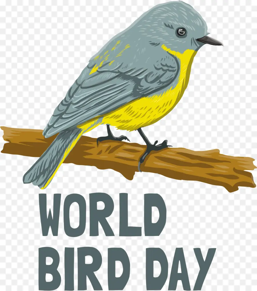 Kuş Gün，Uluslararası Kuş Günü PNG
