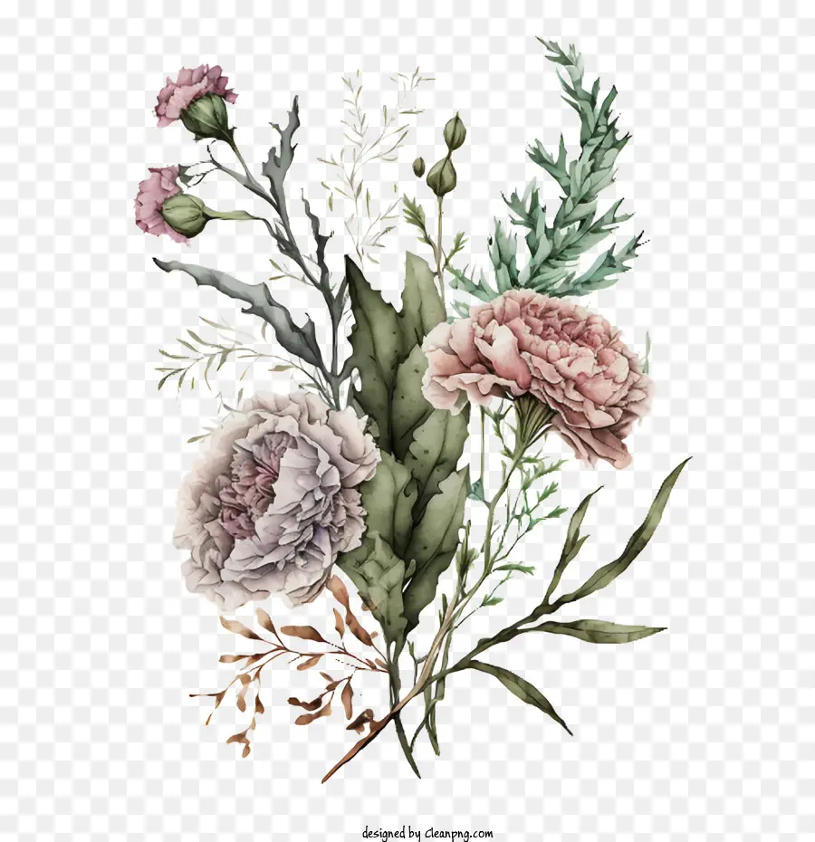 Suluboya Karanfilleri，Suluboya çiçek PNG