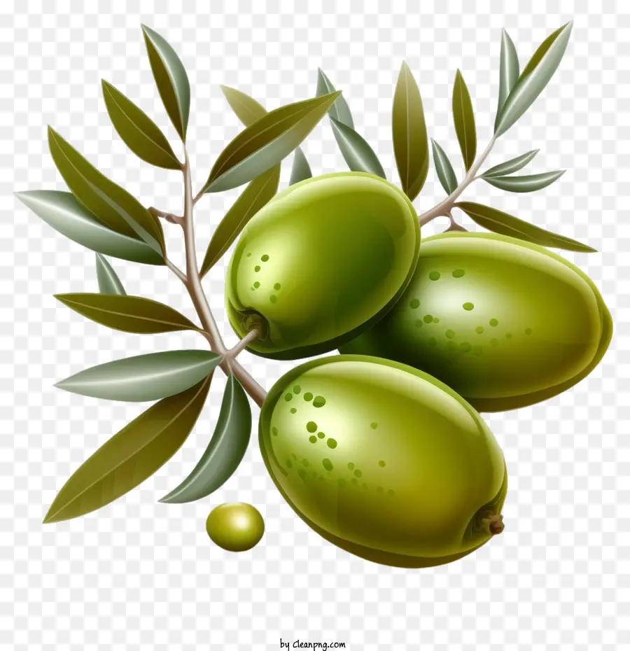 3d Zeytin，Zeytin PNG