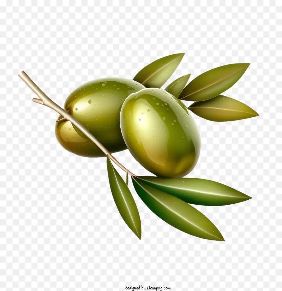 3d Zeytin，Gerçekçi Zeytinler PNG