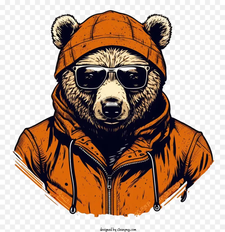 Bear Cool，Bear Portre PNG