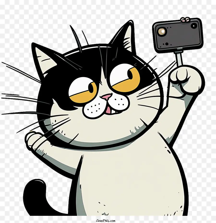 Ulusal Selfie Günü，Karikatür Kedi PNG