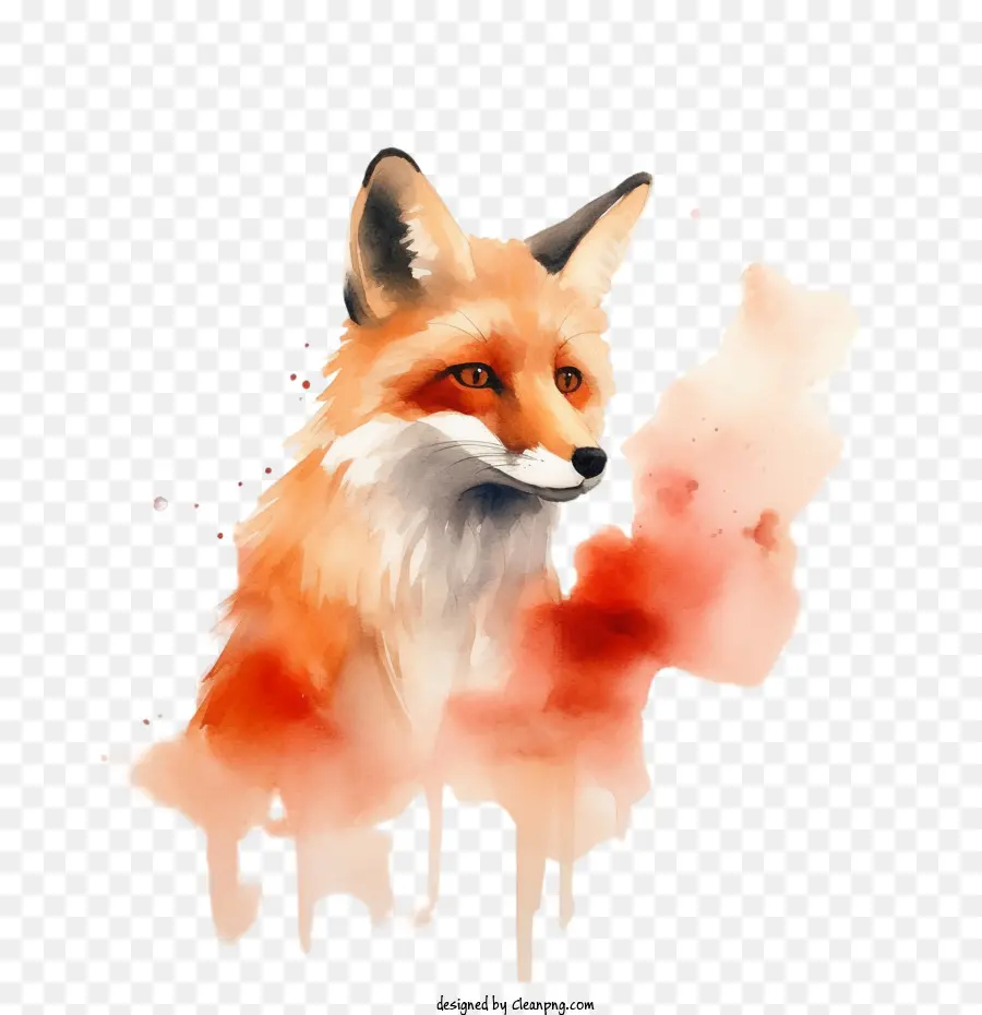 Suluboya Fox，Tilki PNG