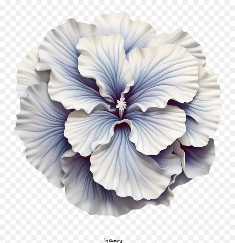 Petunya çiçeği，Kağıt Art Petunia Çiçeği PNG