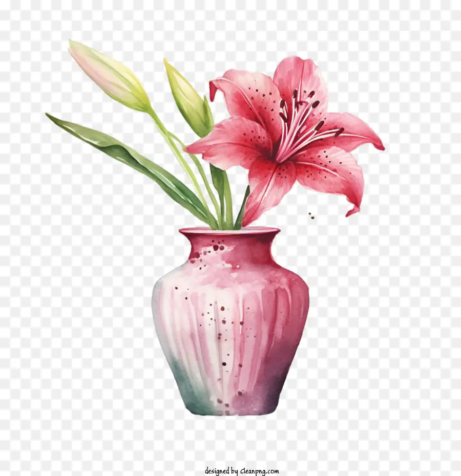 Lily çiçek，Pembe Zambak çiçeği PNG