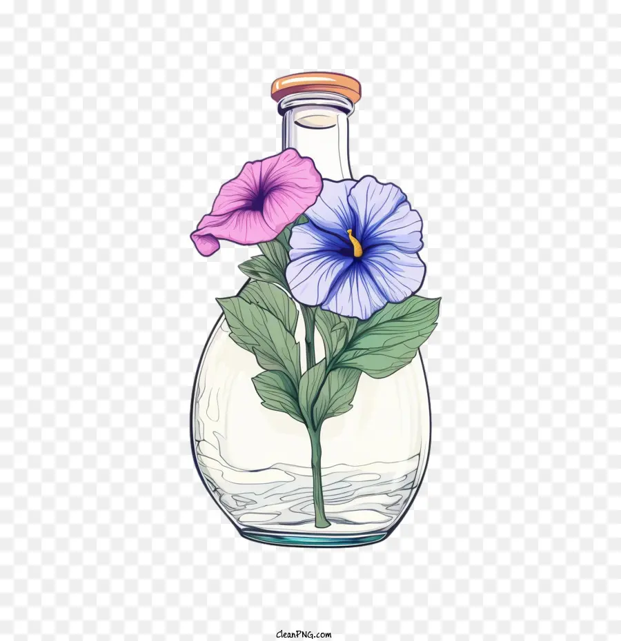 Petunya çiçeği，şişe PNG