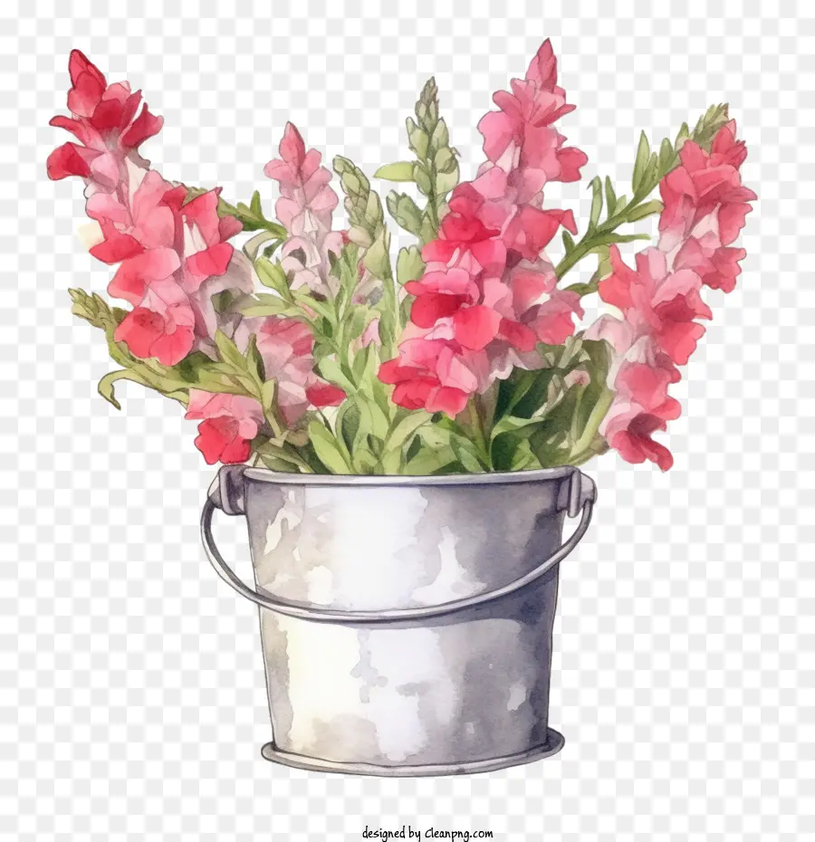 Aslanağzı çiçeği，Güller PNG