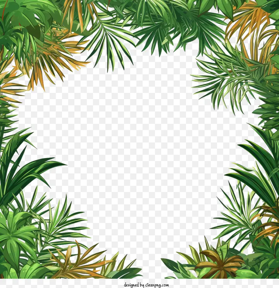 Palmiye Ağacı，Palmiye çerçevesi PNG