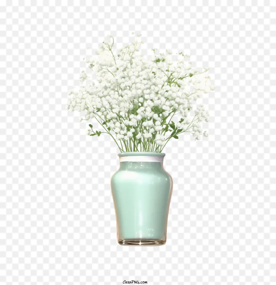 Bebek Nefesi çiçeği，Beyaz çiçekler PNG